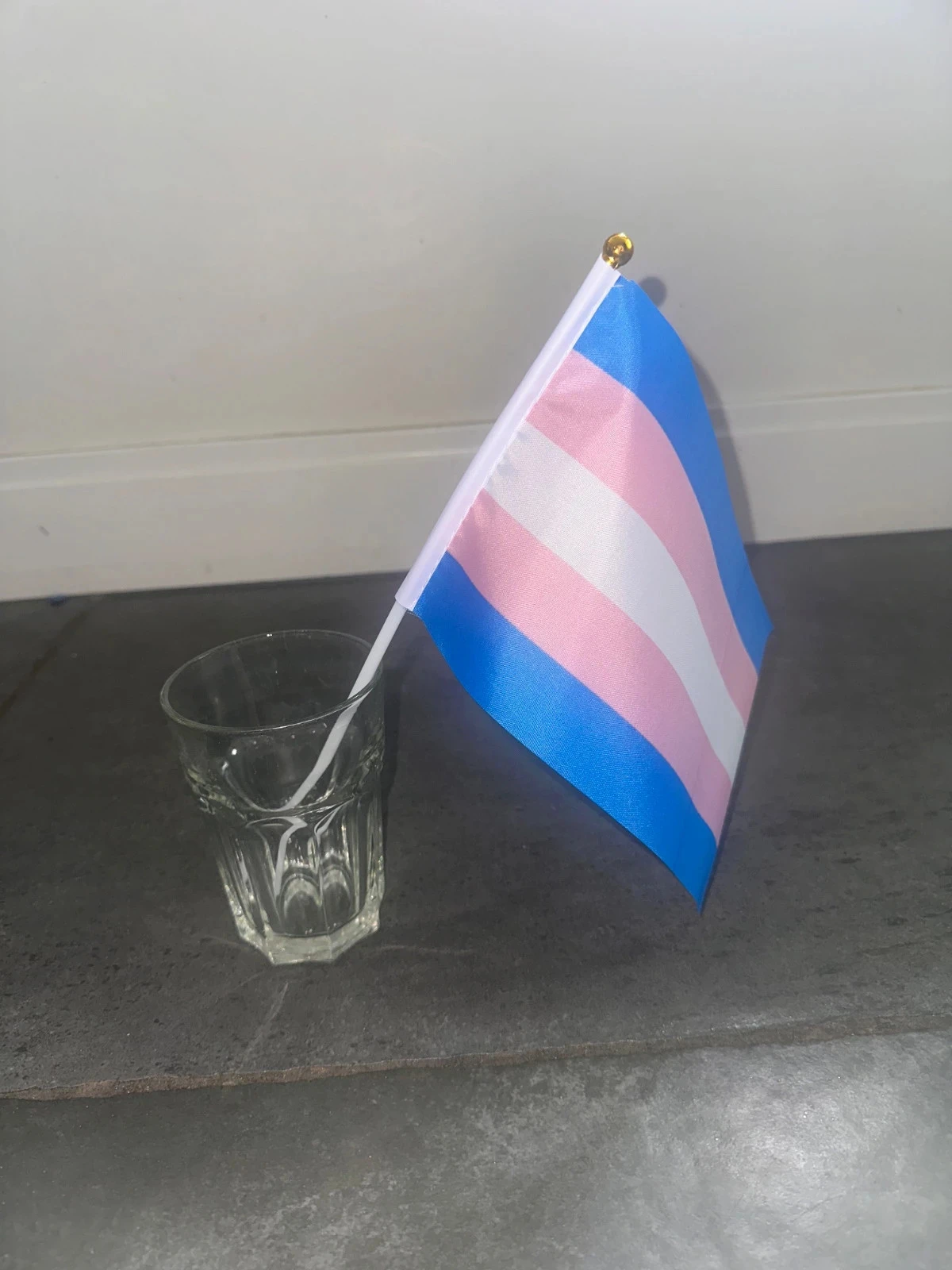 Transgender Pride Flag mini